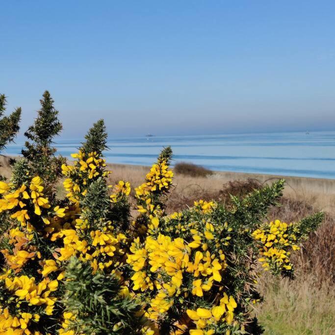 Escape To The Coast In A Luxurious Private Apartment Herne Bay Eksteriør bilde